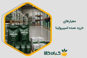 خرید عمده اسپیرولینا