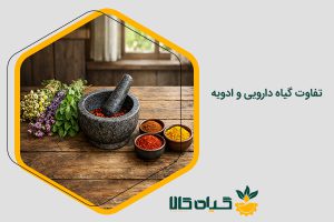 تفاوت گیاه دارویی و ادویه