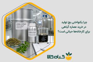 یکنواختی بچ عصاره گیاهی