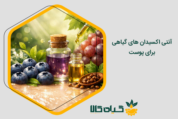 بهترین آنتی اکسیدان های گیاهی برای پوست
