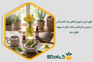 قوی ترین داروی گیاهی ضد افسردگی