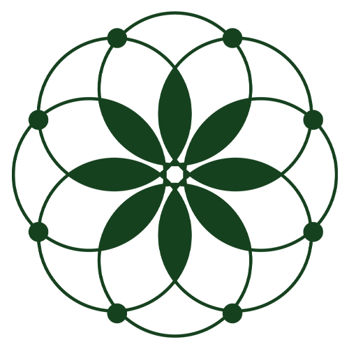 گیاه کالا