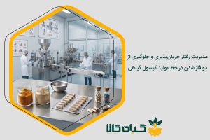 خط تولید کپسول گیاهی
