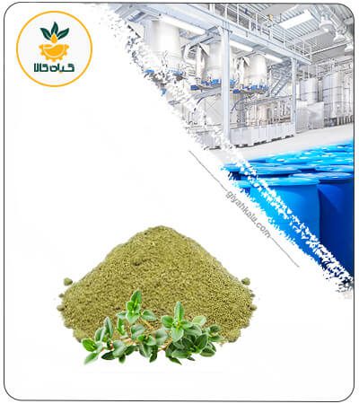 عصاره آویشن