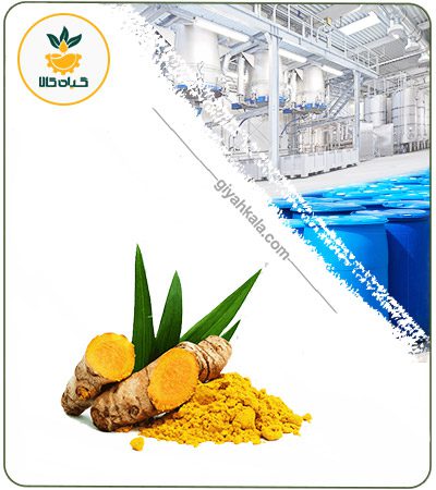 عصاره زردچوبه خشک