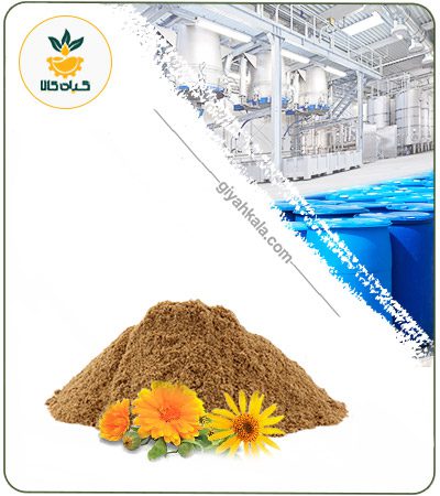 عصاره آرنیکا خشک