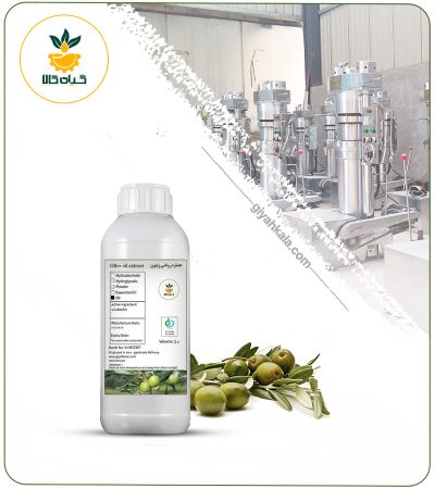روغن زیتون