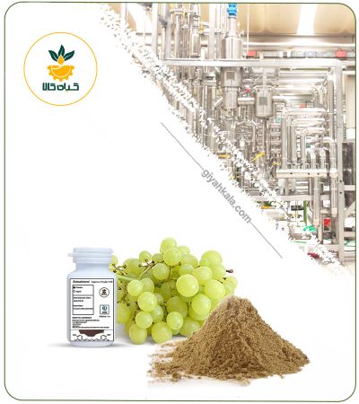 پروآنتوسیانیدین هسته انگور