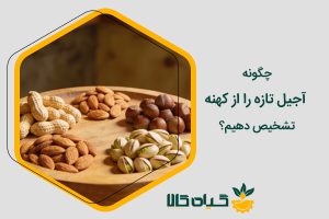 تشخیص-آجیل-تازه