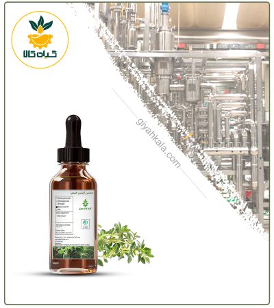 اسانس آویشن شیرازی طبیعی بسته بندی