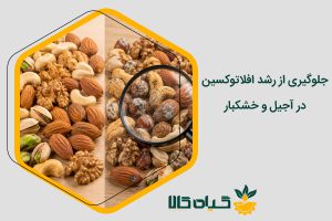 جلوگیری از افلاتوکسین در آجیل