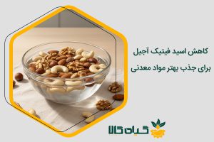 کاهش اسید فیتیک آجیل