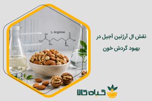 نقش ال آرژنین در آجیل