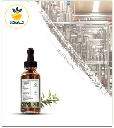اسانس اکالیپتوس طبیعی بسته بندی
