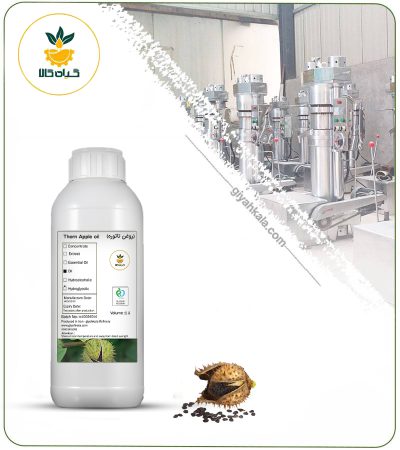 روغن تاتوره