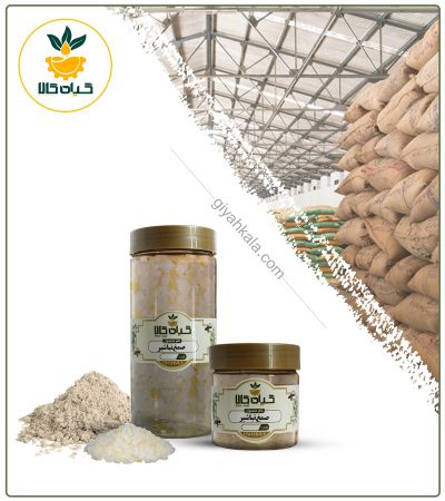 صمغ تباشیر خشک یا پودری