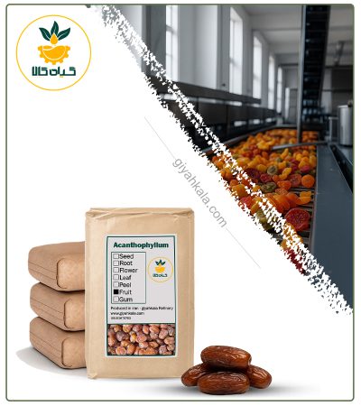 خرما خاصویی