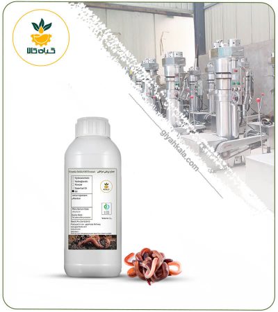 روغن خراطین