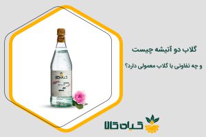 گلاب دو آتیشه چیست