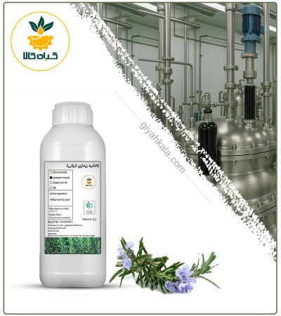 افشره رزماری