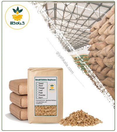 سویا ریز
