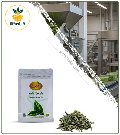 چای سبز ارگانیک