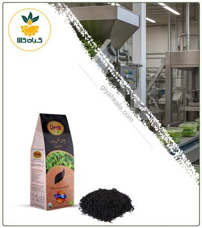 چای سرگل بهاره ارگانیک