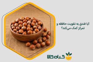 خواص فندق برای تقویت حافظه