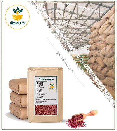 سماق قرمز دان