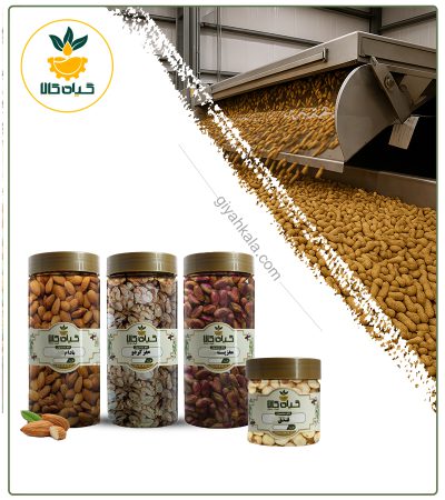 پک آجیل چهار مغز
