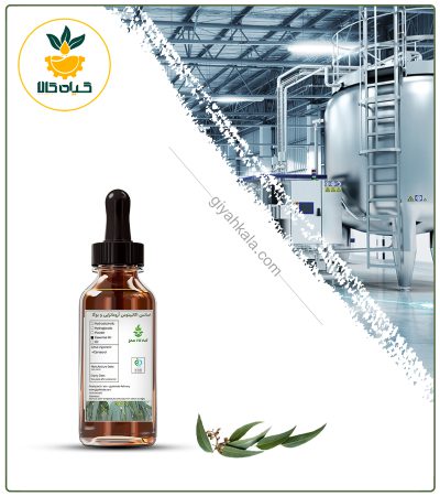 اسانس اکالیپتوس مخصوص آروماتراپی و یوگا
