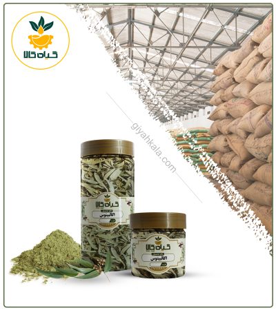 گیاه اکالیپتوس خشک یا پودری بسته بندی
