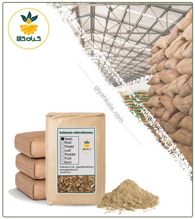 پودر بذر کرفس