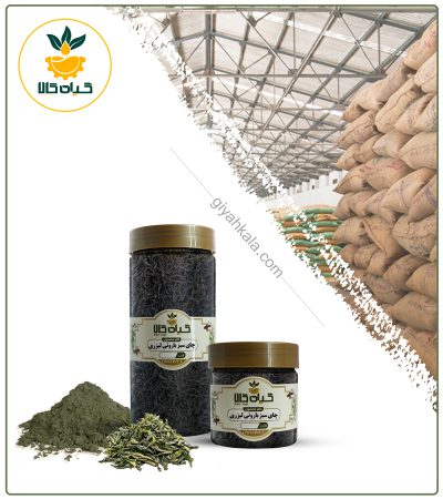 چای سبز ایرانی باروتی خشک یا پودری