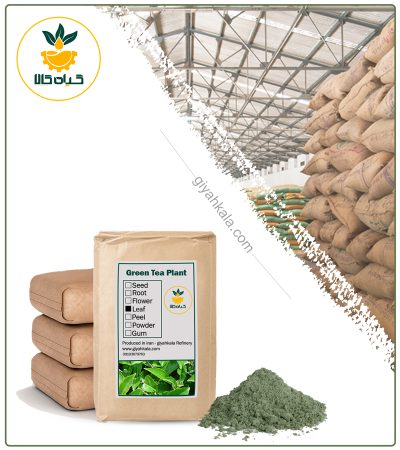 پودر چای سبز