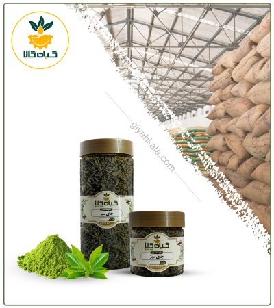 گیاه چای سبز باروتی لیزر خشک یا پودری بسته بندی