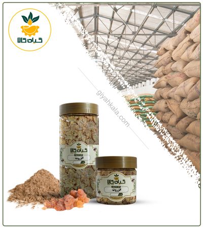 صمغ انزروت خشک یا پودری