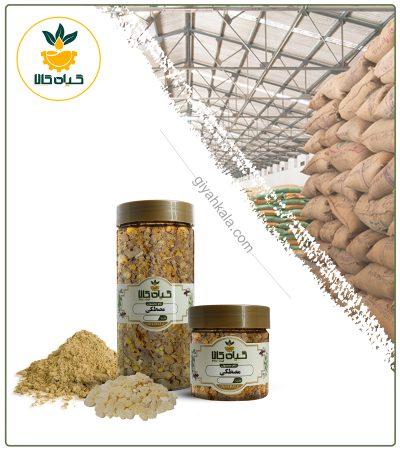 صمغ مصطکی