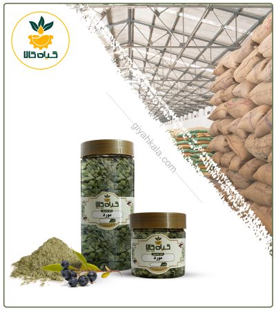 برگ مورد خشک یا پودری