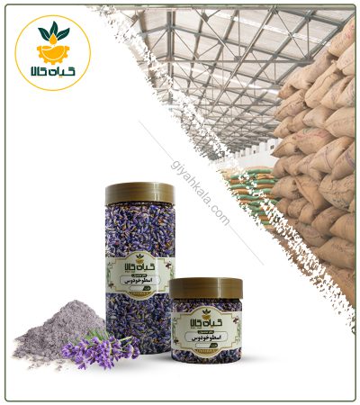 گیاه اسطوخودوس خشک یا پودری بسته بندی